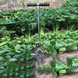 Manual Corn Seedling Transplanter/Hand Maize Soil Drilling and Hole Puncher/Vegetable Flower Seedling Migration Tools